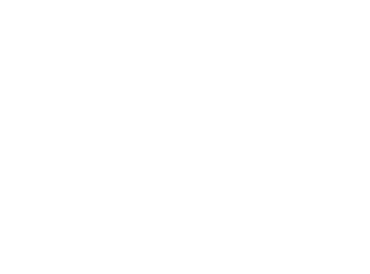 
I Salotti
Risorgimentali